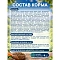 Pronature Holistic Pacific сухой корм для стерилизованных кошек, океаническая белая рыба и рис #3